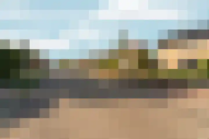 Schapendreef 18 Landhorst thumbnail 30