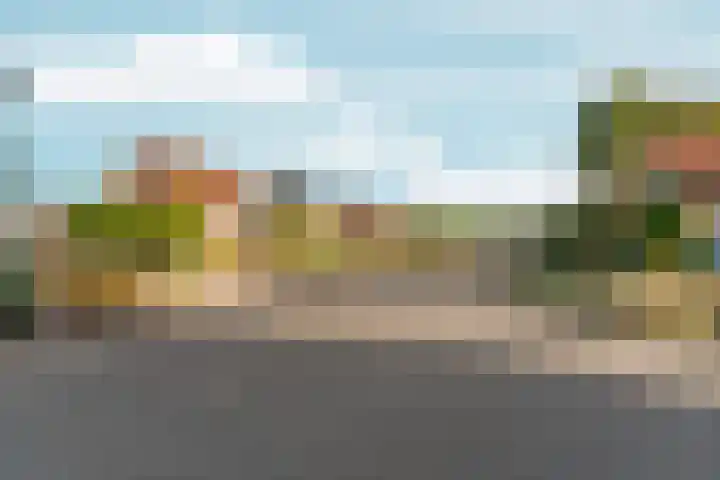 Schapendreef 18 Landhorst thumbnail 31