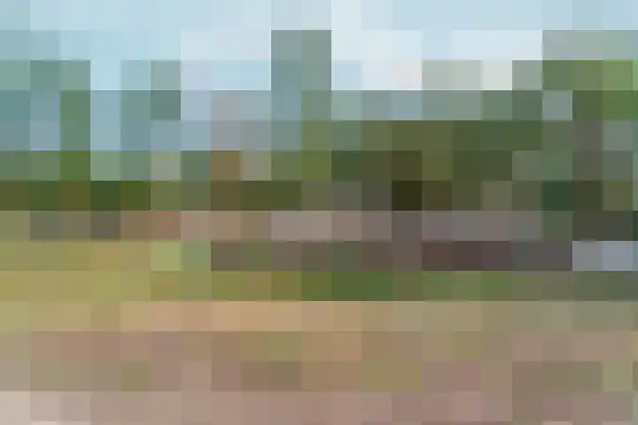 Schapendreef 18 Landhorst thumbnail 32
