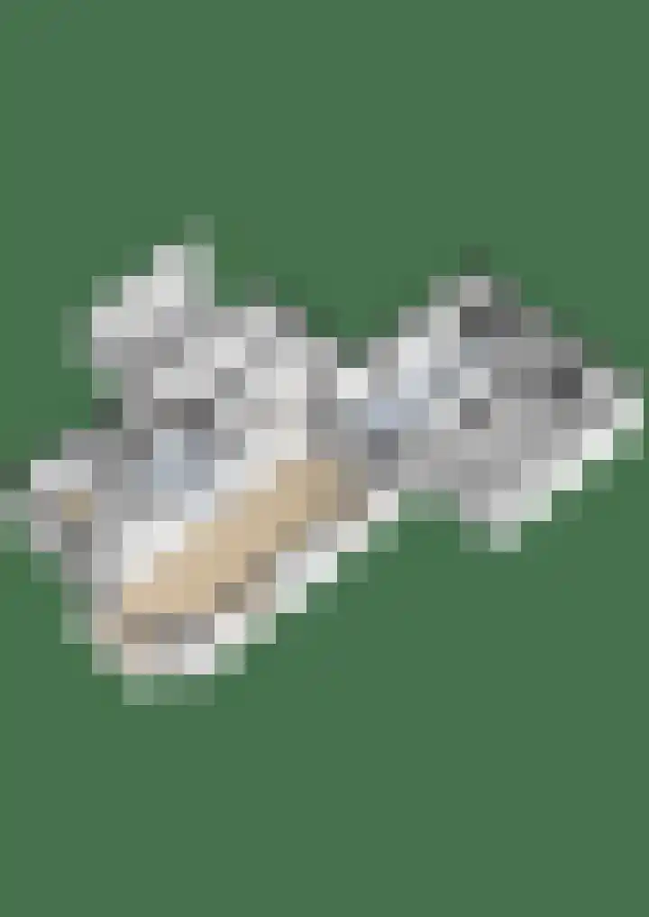 Schapendreef 18 Landhorst thumbnail 36