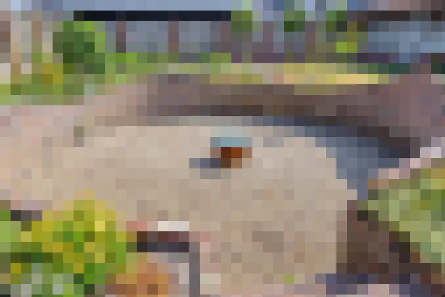 Schapendreef 18 Landhorst thumbnail 38