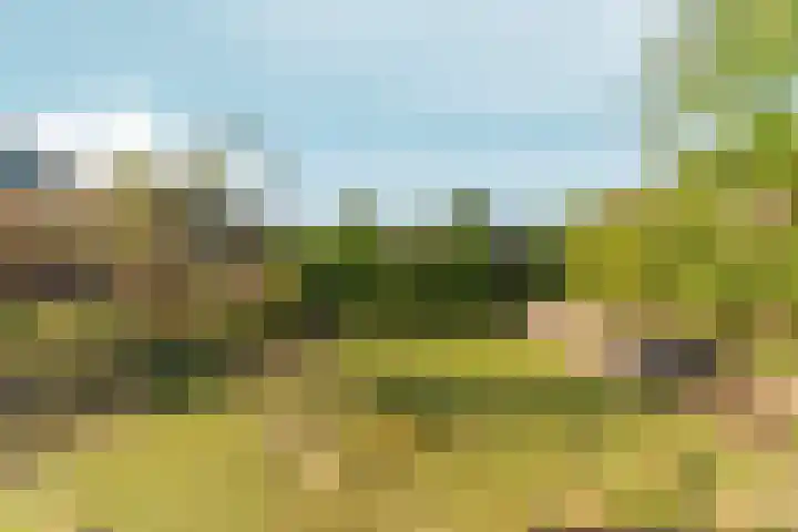 Schapendreef 18 Landhorst thumbnail 5