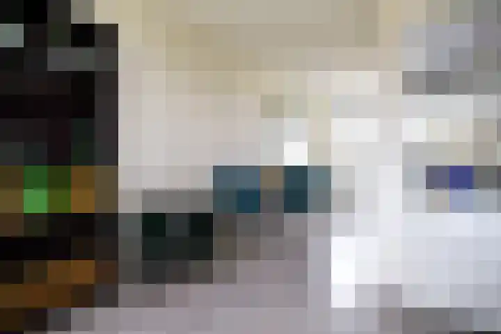 Schapendreef 193 Rotterdam thumbnail 11