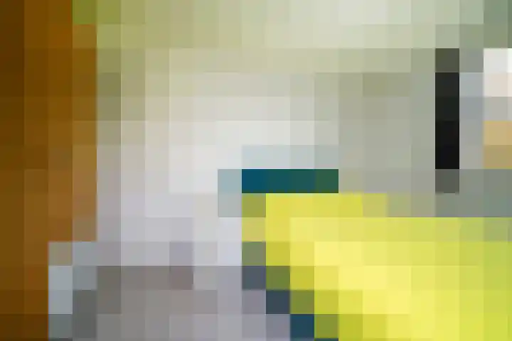 Schapendreef 193 Rotterdam thumbnail 14