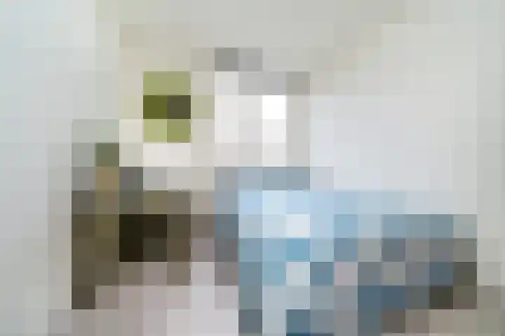 Schapendreef 193 Rotterdam thumbnail 15