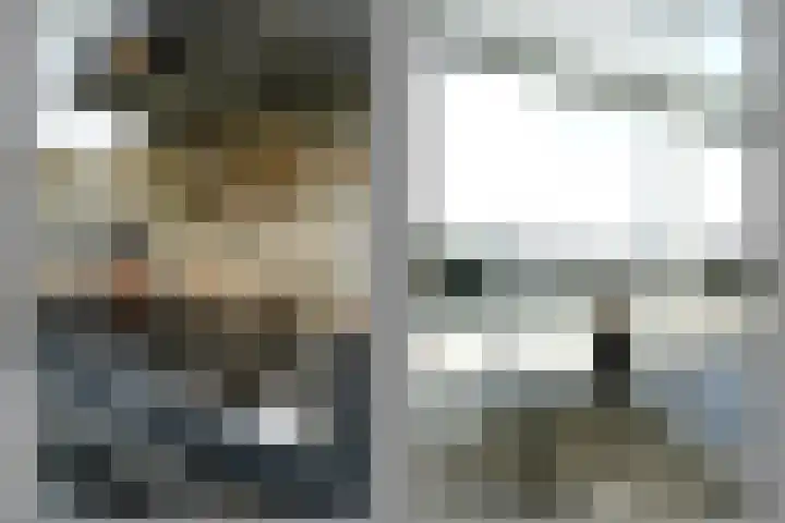 Schapendreef 193 Rotterdam thumbnail 20