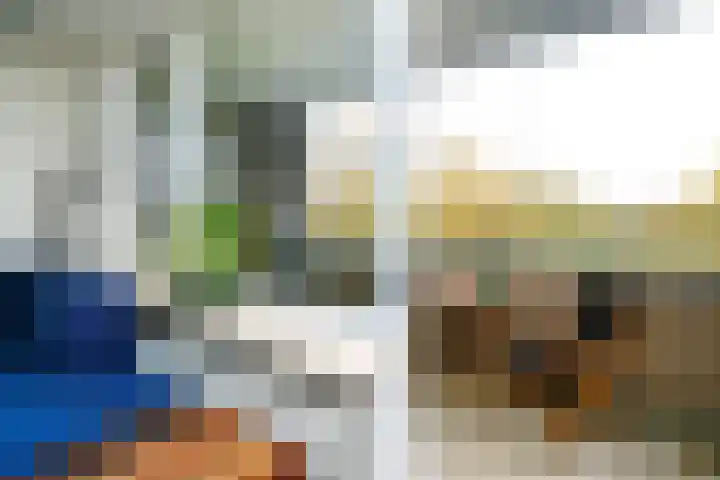 Schapendreef 193 Rotterdam thumbnail 21