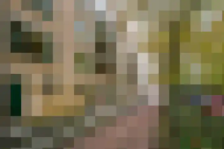 Schapendreef 193 Rotterdam thumbnail 24