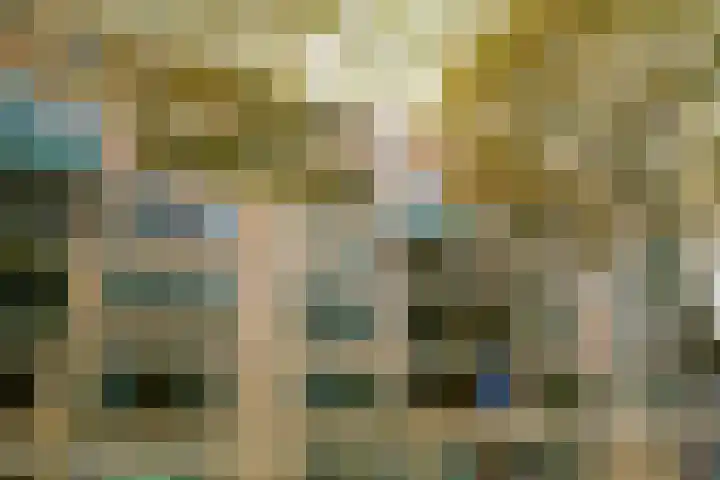 Schapendreef 193 Rotterdam thumbnail 26