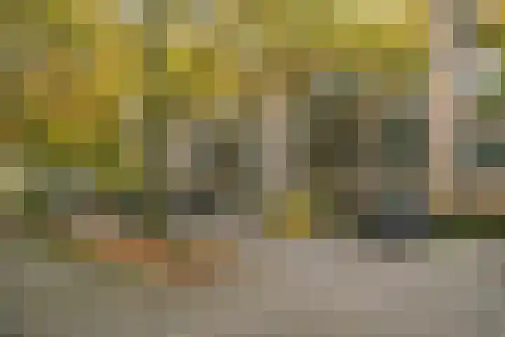 Schapendreef 193 Rotterdam thumbnail 27