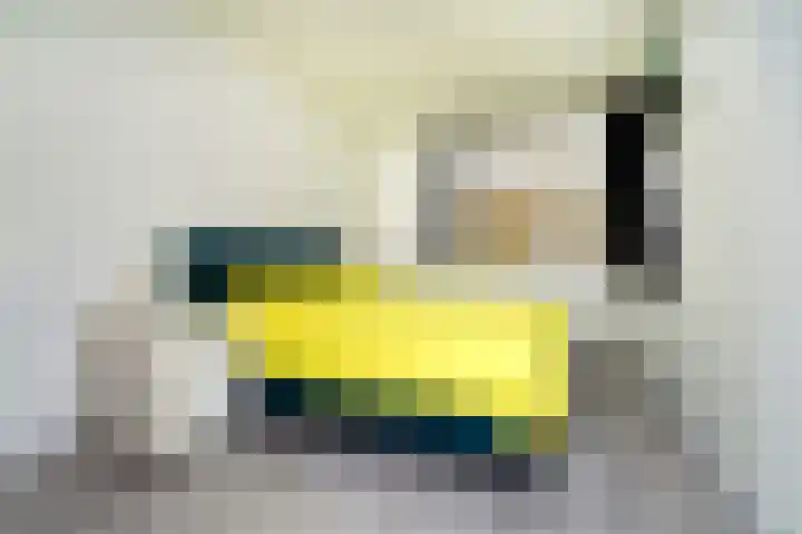 Schapendreef 193 Rotterdam thumbnail 4