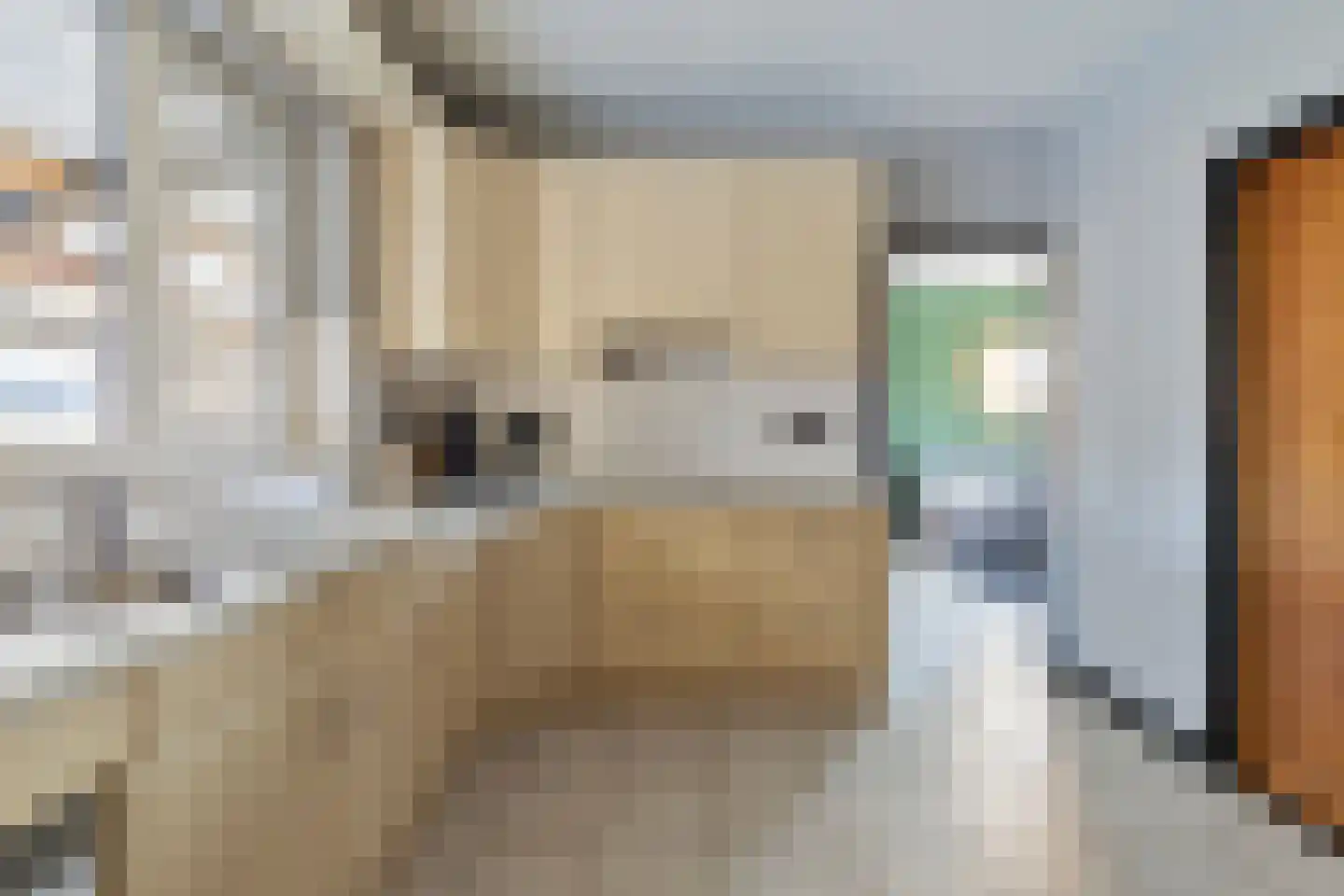 Schapendreef 23 Landhorst thumbnail 14