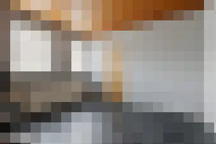 Schapendreef 23 Landhorst thumbnail 18