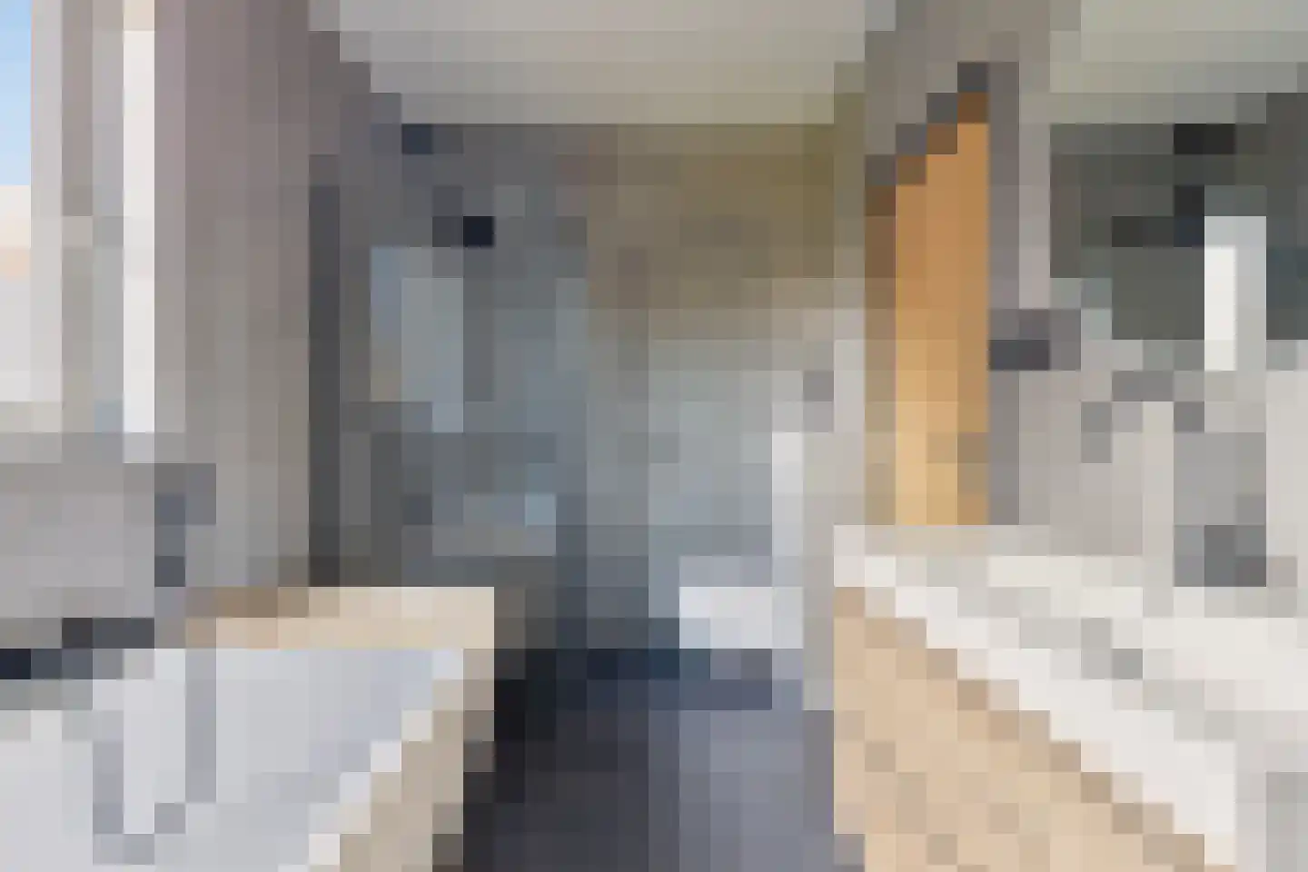 Schapendreef 23 Landhorst thumbnail 20