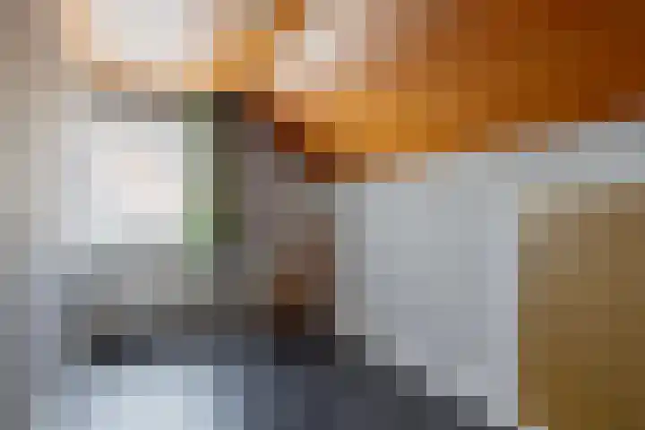 Schapendreef 23 Landhorst thumbnail 29