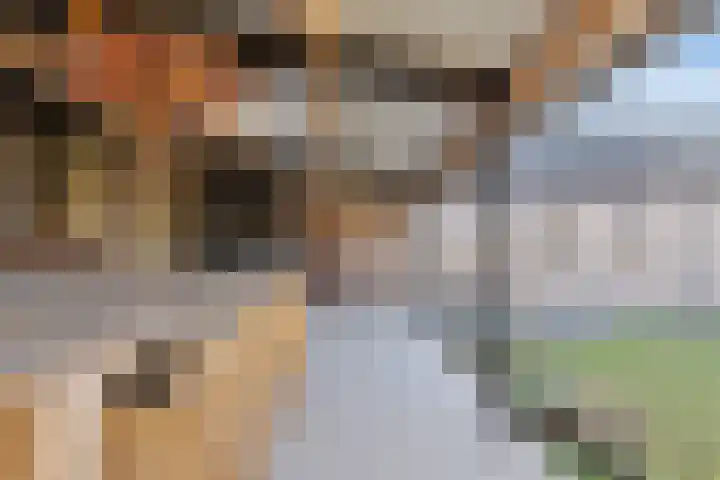 Schapendreef 23 Landhorst thumbnail 34