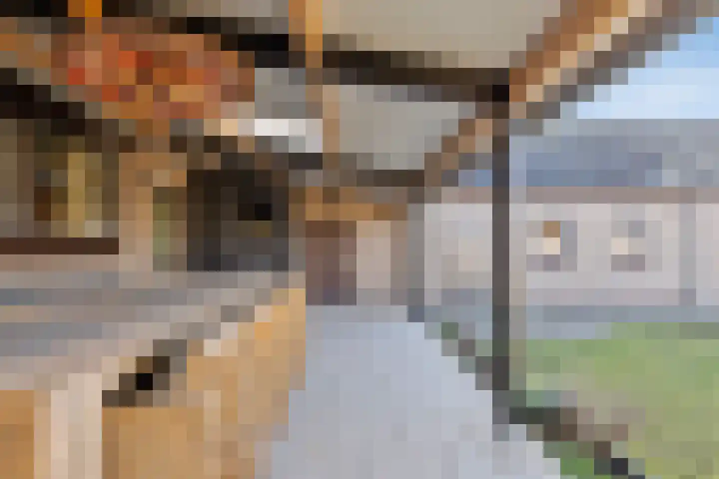 Schapendreef 23 Landhorst thumbnail 34