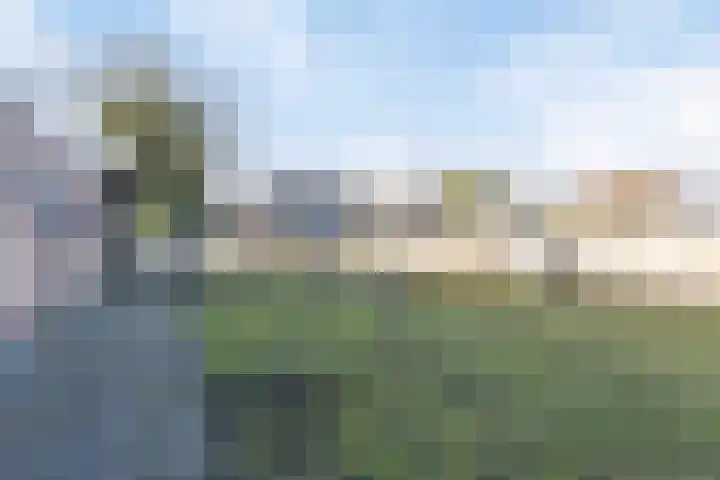 Schapendreef 23 Landhorst thumbnail 4