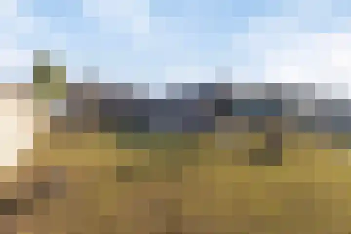 Schapendreef 23 Landhorst thumbnail 41