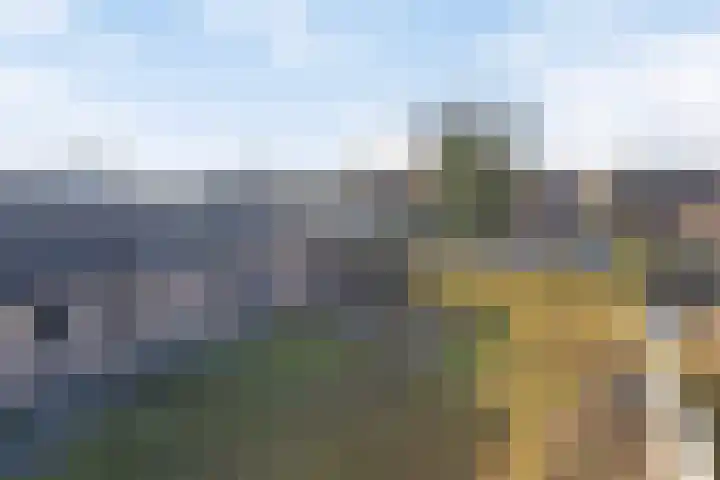 Schapendreef 23 Landhorst thumbnail 42