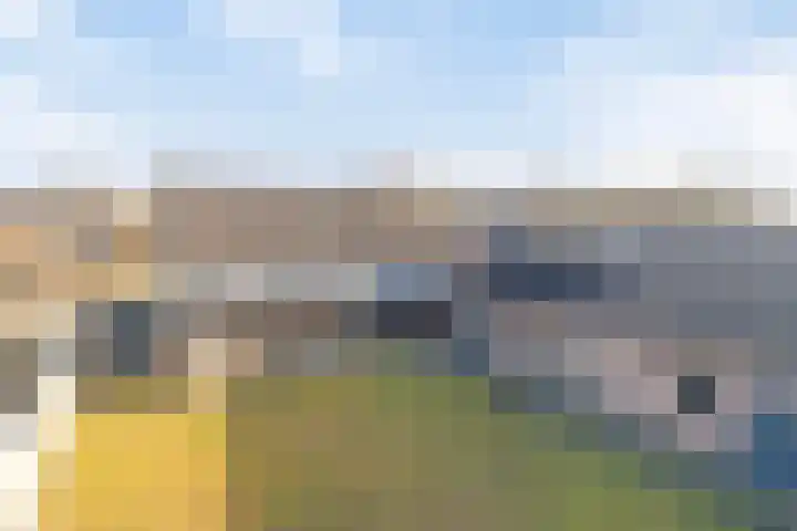 Schapendreef 23 Landhorst thumbnail 50