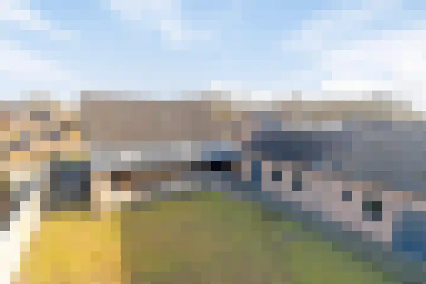 Schapendreef 23 Landhorst thumbnail 50