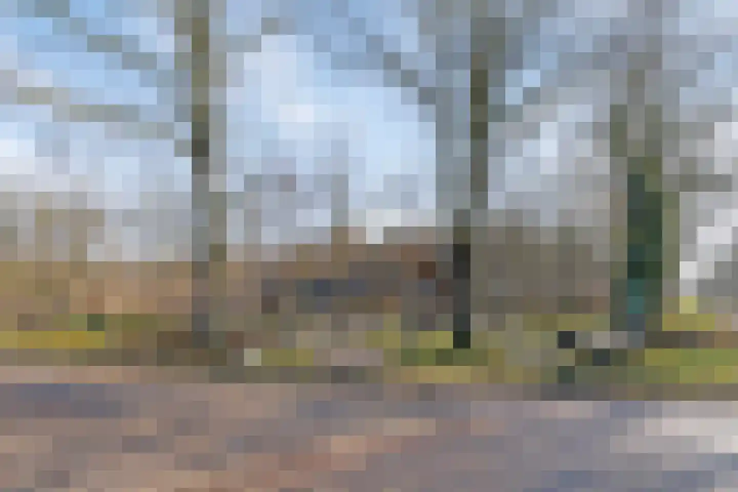 Schapendreef 23 Landhorst thumbnail 53