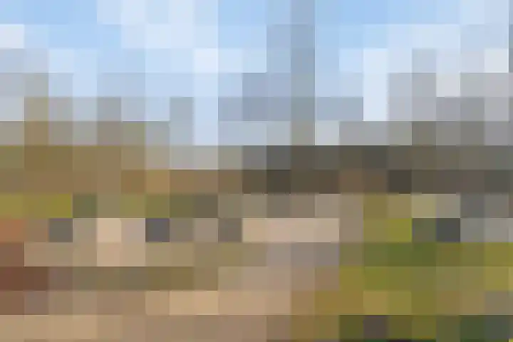 Schapendreef 23 Landhorst thumbnail 54