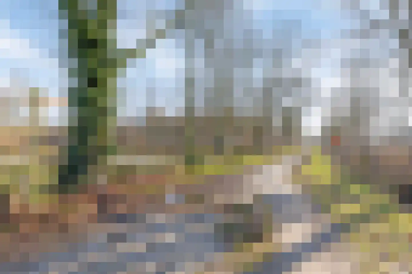 Schapendreef 23 Landhorst thumbnail 55