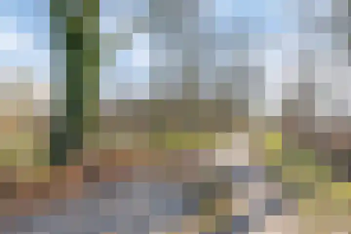 Schapendreef 23 Landhorst thumbnail 55