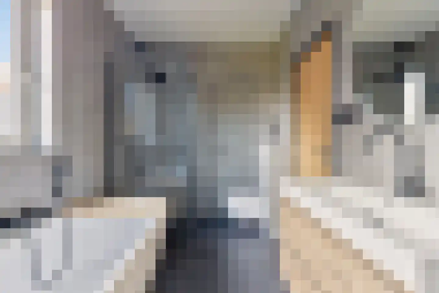 Schapendreef 23 Landhorst thumbnail 6