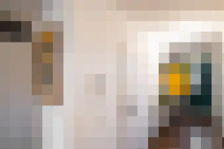 Schapendreef 247 Rotterdam thumbnail 27