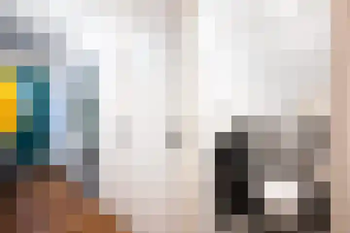 Schapendreef 247 Rotterdam thumbnail 28