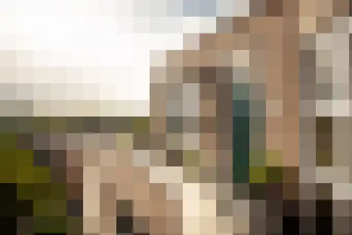 Schapendreef 247 Rotterdam thumbnail 34