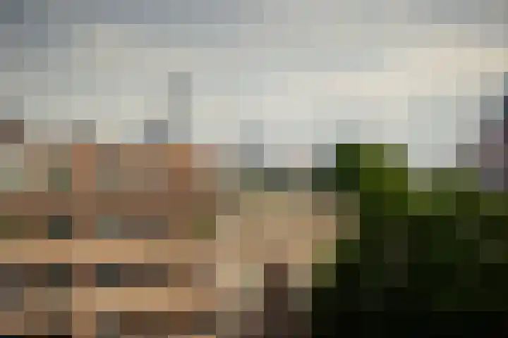 Schapendreef 247 Rotterdam thumbnail 4