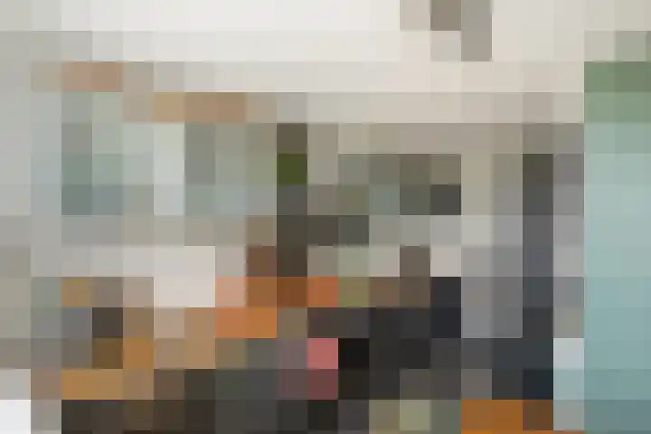 Schapendreef 247 Rotterdam thumbnail 7