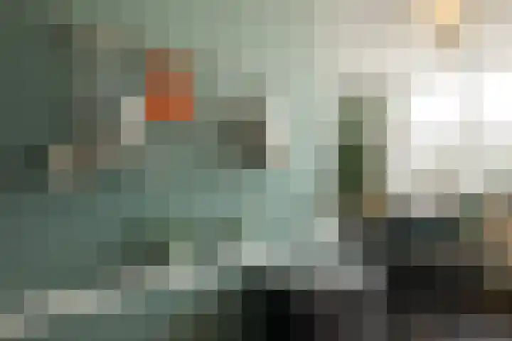 Schapendreef 247 Rotterdam thumbnail 9