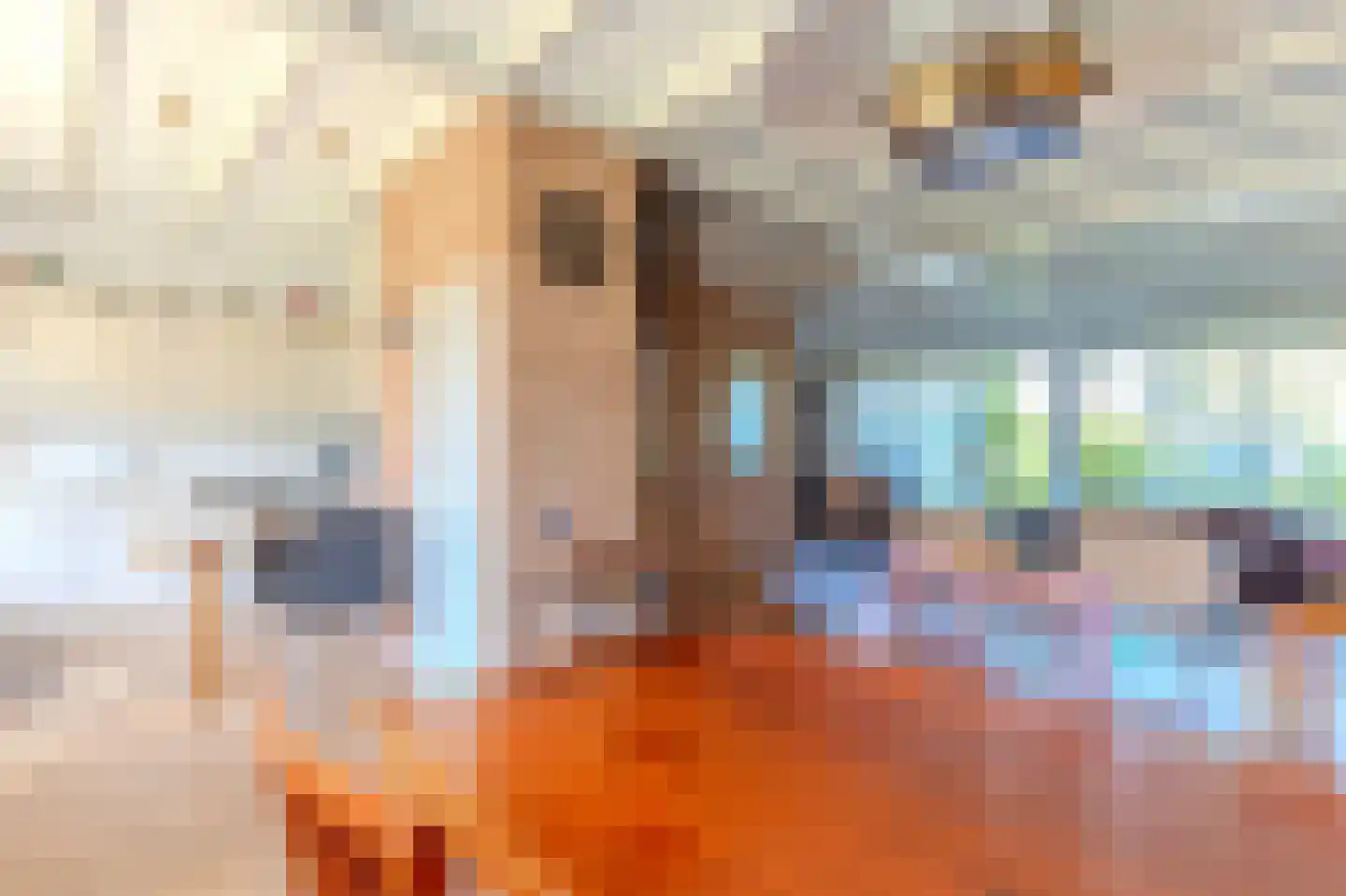 Schapendreef 28 Hoogerheide thumbnail 20