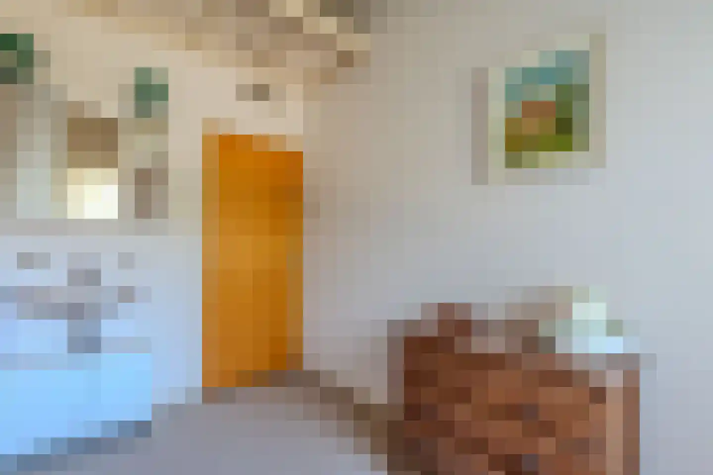 Schapendreef 28 Hoogerheide thumbnail 26