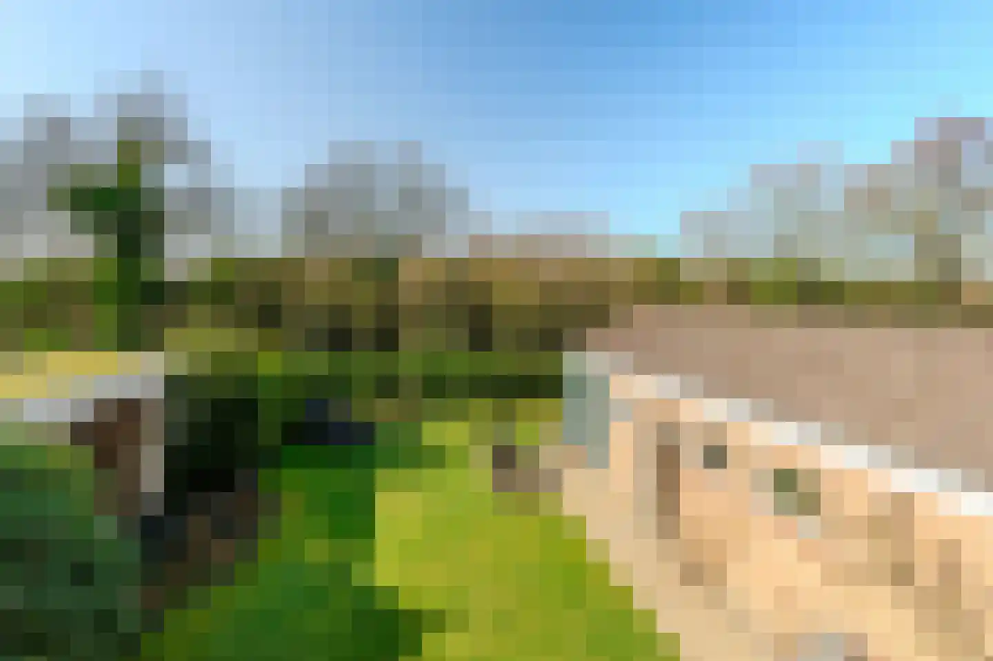 Schapendreef 28 Hoogerheide thumbnail 34