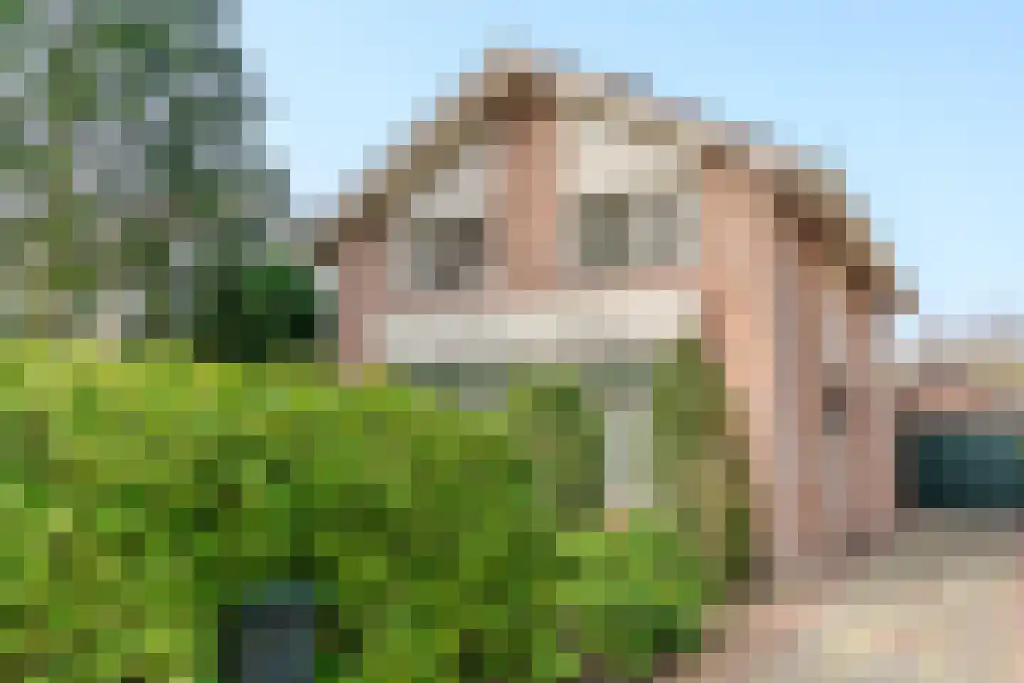 Schapendreef 28 Hoogerheide thumbnail 43