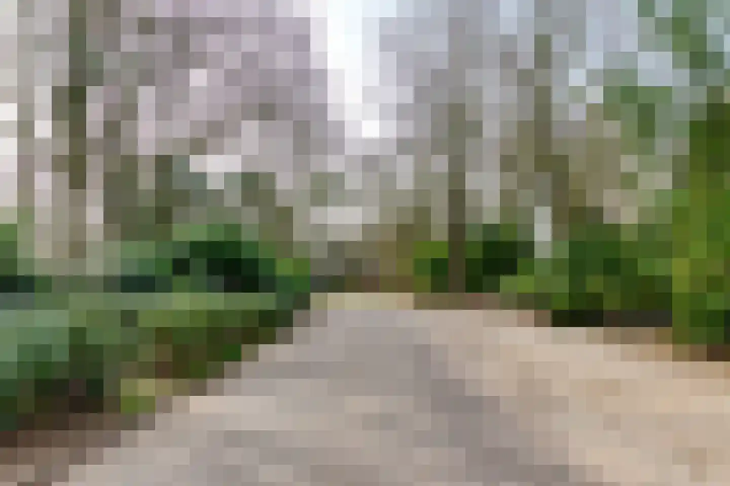 Schapendreef 28 Hoogerheide thumbnail 48