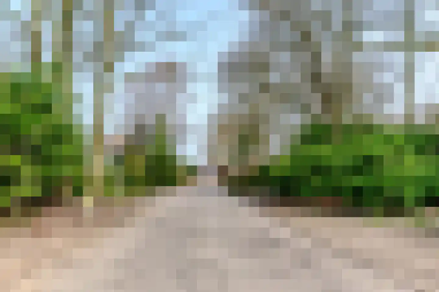 Schapendreef 28 Hoogerheide thumbnail 49