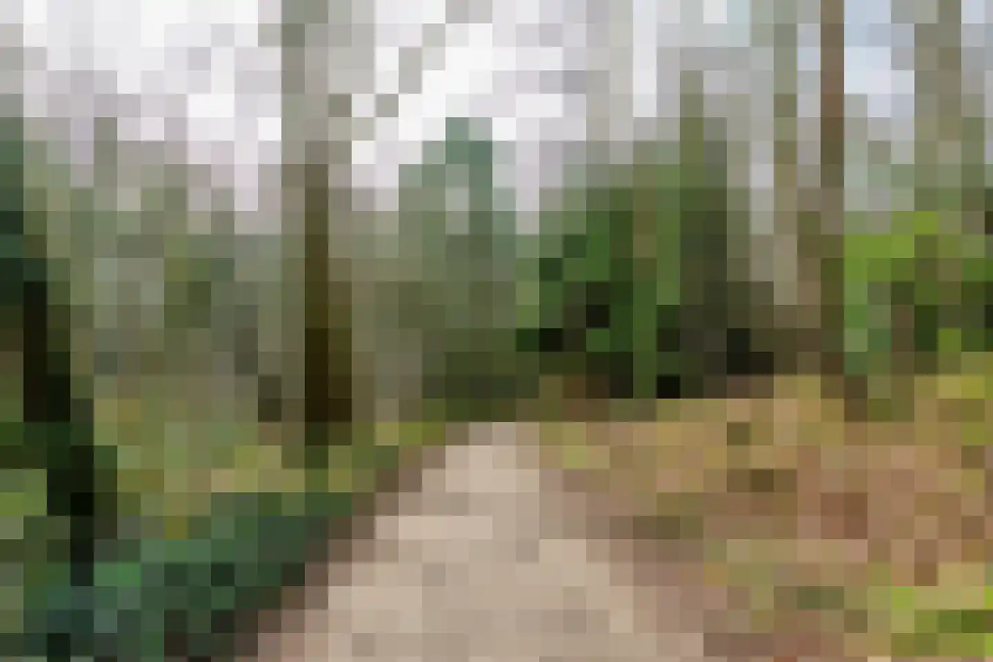 Schapendreef 28 Hoogerheide thumbnail 50