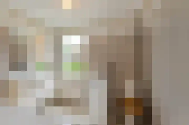 Schapendreef 30 Hoogerheide thumbnail 21