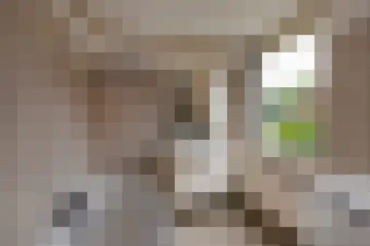Schapendreef 30 Hoogerheide thumbnail 22