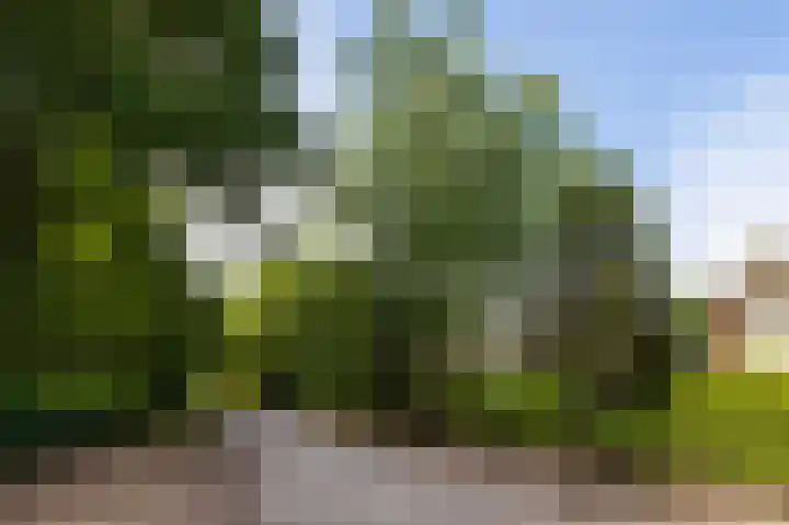 Schapendreef 30 Hoogerheide thumbnail 32
