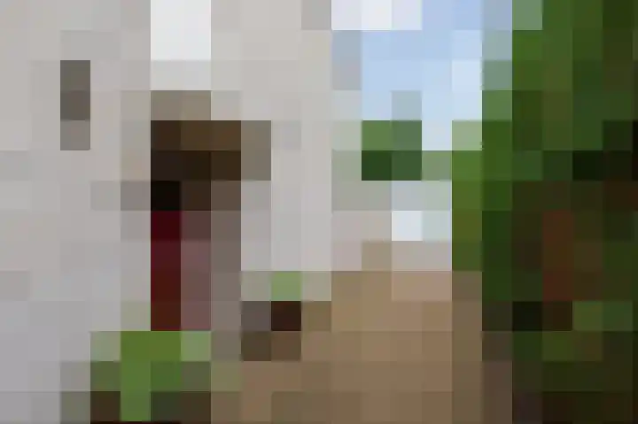 Schapendreef 30 Hoogerheide thumbnail 33