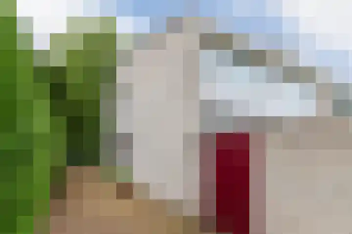 Schapendreef 30 Hoogerheide thumbnail 34