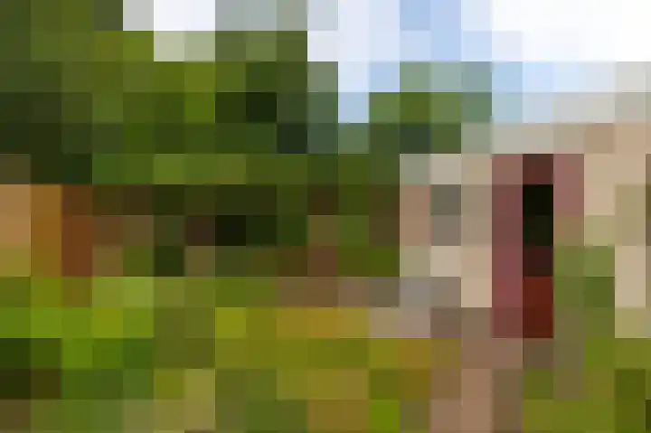 Schapendreef 30 Hoogerheide thumbnail 36